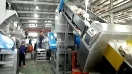 Borsa in pellicola PP-PE, stendibiancheria, macchina per il riciclaggio della plastica di scarto, serbatoio di lavaggio galleggiante